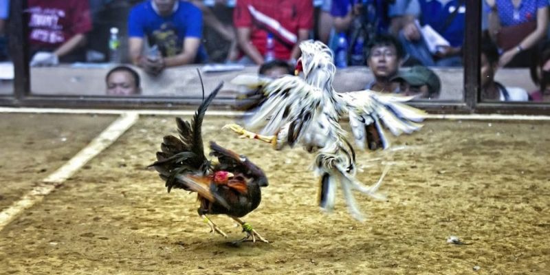 win 789 ﻿đăng nhập lô đề uy tín