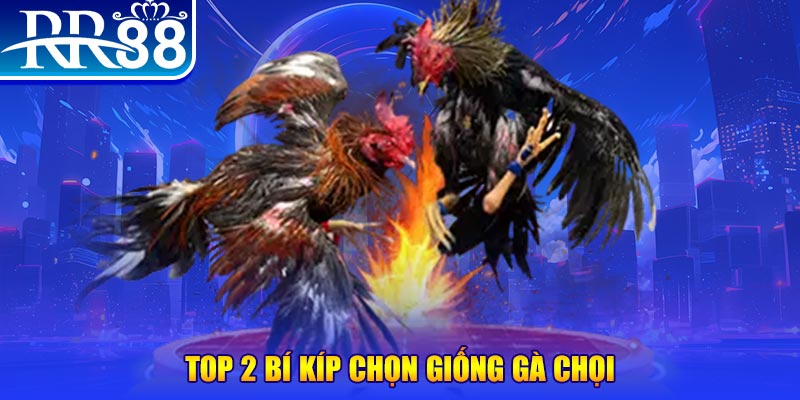 bắn cá h5