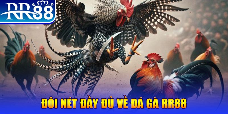 win 789 gà chọi hoà phong