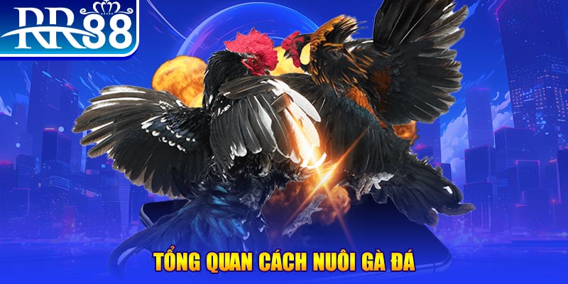 win 789 xổ số thứ ba