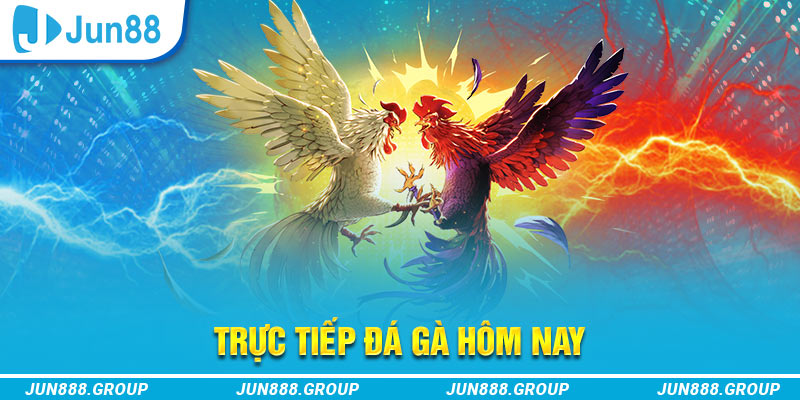 win 789 trực tiếp đá gà thomo