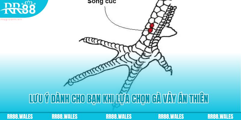 win 789 xổ số khánh hòa