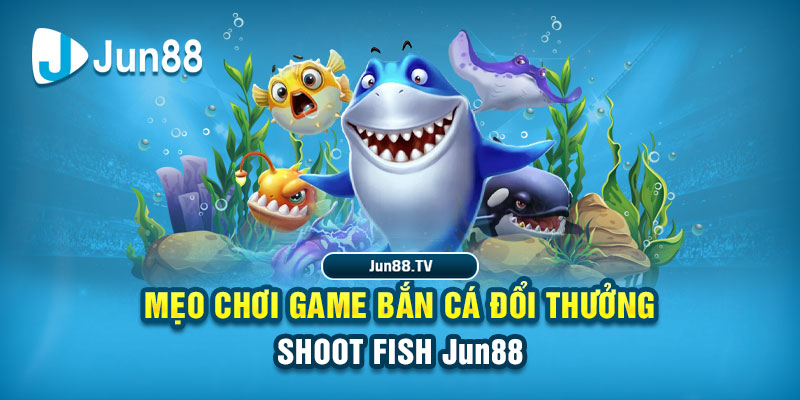 win 789 tải game đánh bài online về máy tính