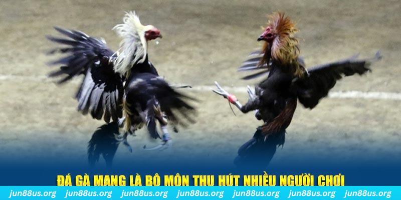 win 789 xổ số long an