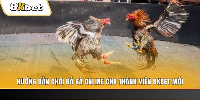 win 789 nổ hũ đổi thưởng . ai