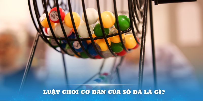 win 789 Đĩa màu ace