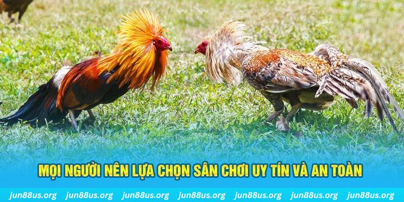 win 789 Tài Xỉu
