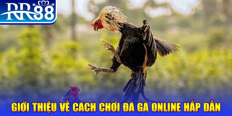 win 789 what is a video slot
