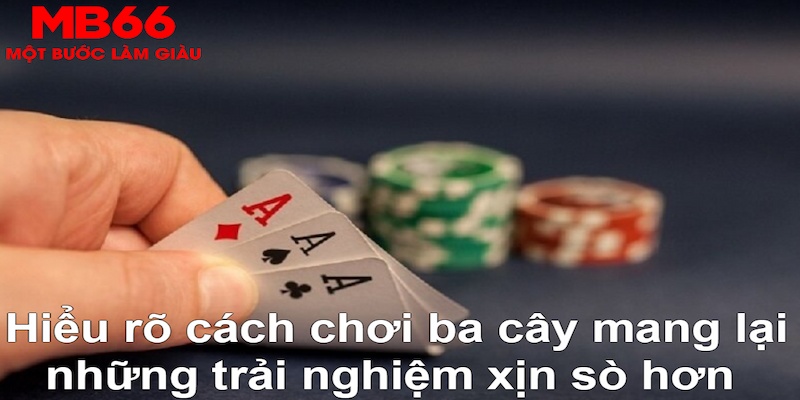 win 789 DB Trực Tuyến