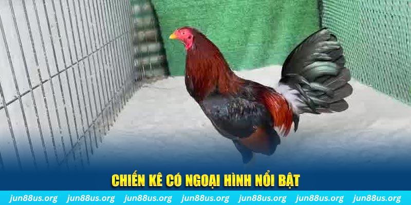 win 789 nhạc slot là gì